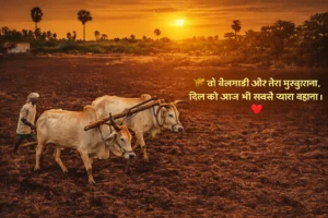 गाँव की याद शायरी